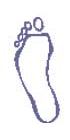 Flat Feet Flat Feet